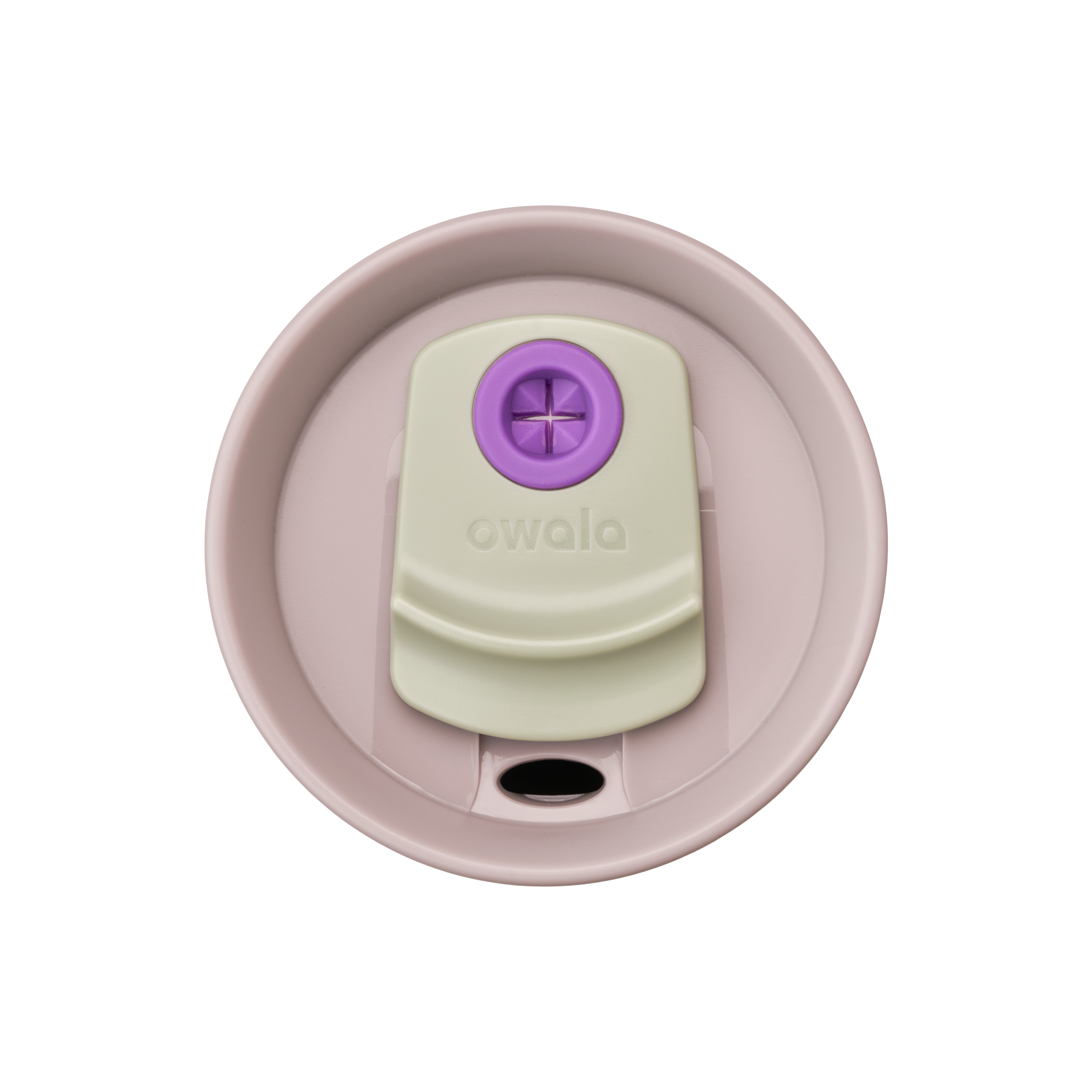 Hip_Cactus_Topdown-4000×4000-c38c18a_2023dc8f-c931-45fd-8031-16f6c0be5a6a